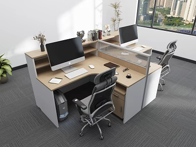Modern Office Desk With Divided Workstations Two Computer Monitors Office Chairs And Potted Plants 3d model