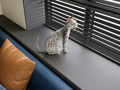 Spotted Reptile Sitting On Window Sill With Black Blinds And Brown Sofa Cushion 3d model