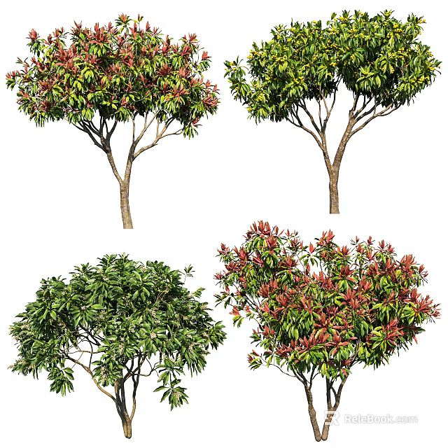 Various Arbor Trees With Green And Red Foliage Lush Canopies And Healthy Trunks 3d model 