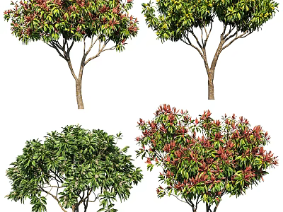 Various Arbor Trees With Green And Red Foliage Lush Canopies And Healthy Trunks 3d model