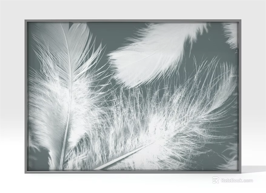 Black And White Feather Decorative Wall Art With Framed Design And Soft Texture 3d model 