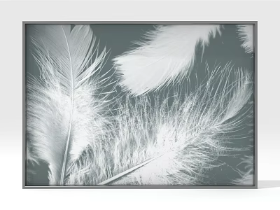 Black And White Feather Decorative Wall Art With Framed Design And Soft Texture 3d model