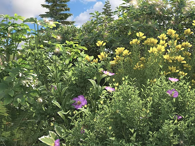 Lush Garden Shrubs With Yellow And Purple Flowers Under Sunlight In Natural Landscape 3d model