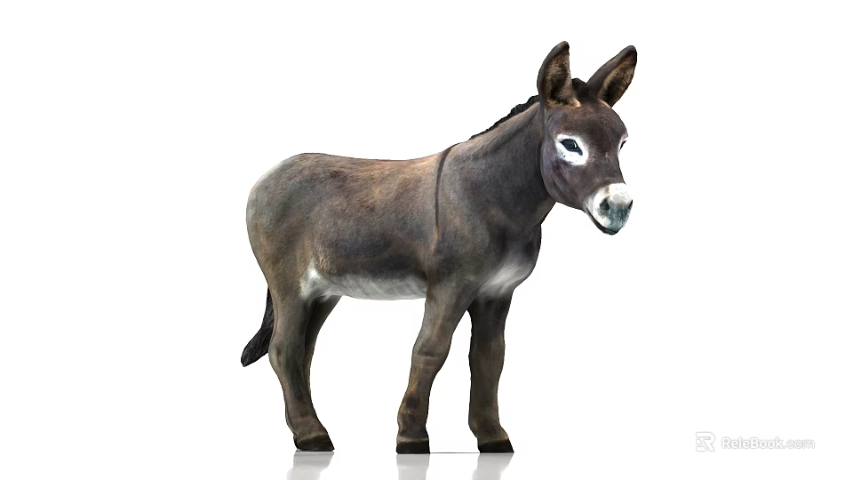 Common Reptile Lizard With Scaly Skin In Natural Outdoor Habitat 3d model 