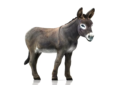modern donkey 3d model modern donkey 3d model