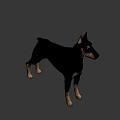 Realistic Doberman 3D Model With Black And Tan Coat Standing Pose 3d model
