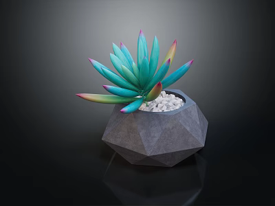 Bonsai Succulent Plant With Turquoise Leaves Pink Yellow Edges Gray Geometric Pot White Pebbles 3d model