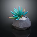 Bonsai Succulent Plant With Turquoise Leaves Pink Yellow Edges Gray Geometric Pot White Pebbles