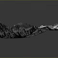 Black and white 3D mountain landscape with tree branch like texture and natural terrain pattern