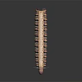 Detailed 3D Render Of Exotic Reptile With Pink Head And Orange Spiky Segmented Body
