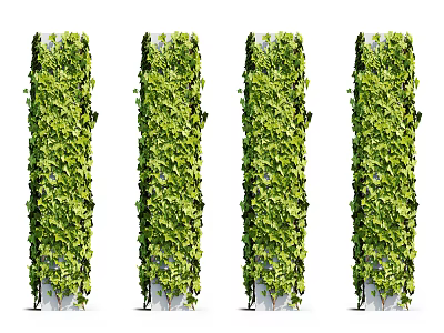 Lush Green Vines Covering Tall Pillars With Dense Foliage And Natural Growth 3d model