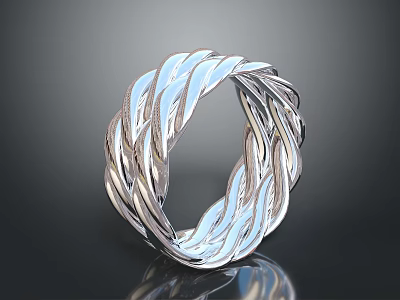 Elegant Silver Braided Ring With Intricate Metallic Design For Fashionable Accessories 3d model