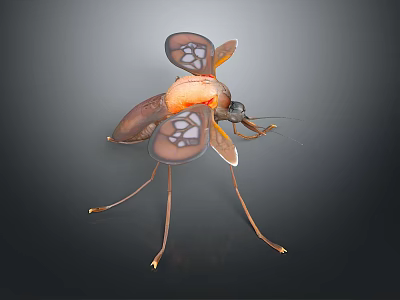 Detailed Mosquito Insect With Transparent Patterned Wings Orange Brown Body And Long Slender Legs 3d model