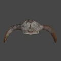 Weathered Bull Skull Against Blue Sky With Dry Land And Trees