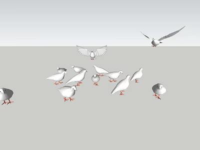 Flying Animals Pigeons Standing on Ground and Flying in Air Together 3d model