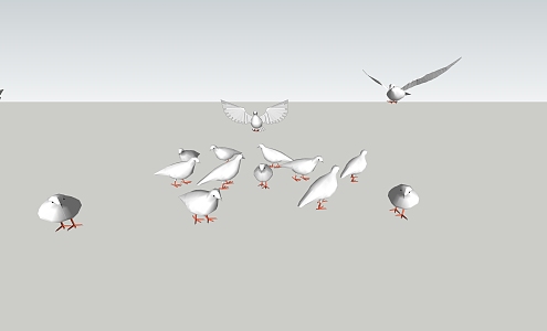 white dove 3d model