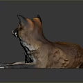 Red Fox Game and Movie Character Lying on Black Surface with Reflection 3d model