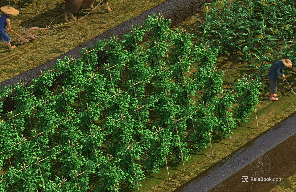 Hinged Door With Green Climbing Vines Lattice And Farm Garden Elements 3d model 