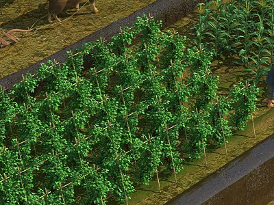 Hinged Door With Green Climbing Vines Lattice And Farm Garden Elements 3d model