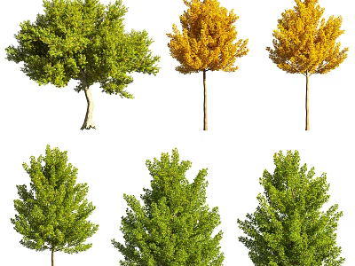 Lush Green And Yellow Leaf Trees With Diverse Canopy Shapes And Sizes 3d model