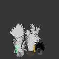 Green Garden Decor Plants With Various Sizes Different Leaf Shapes And White Black Beige Pots
