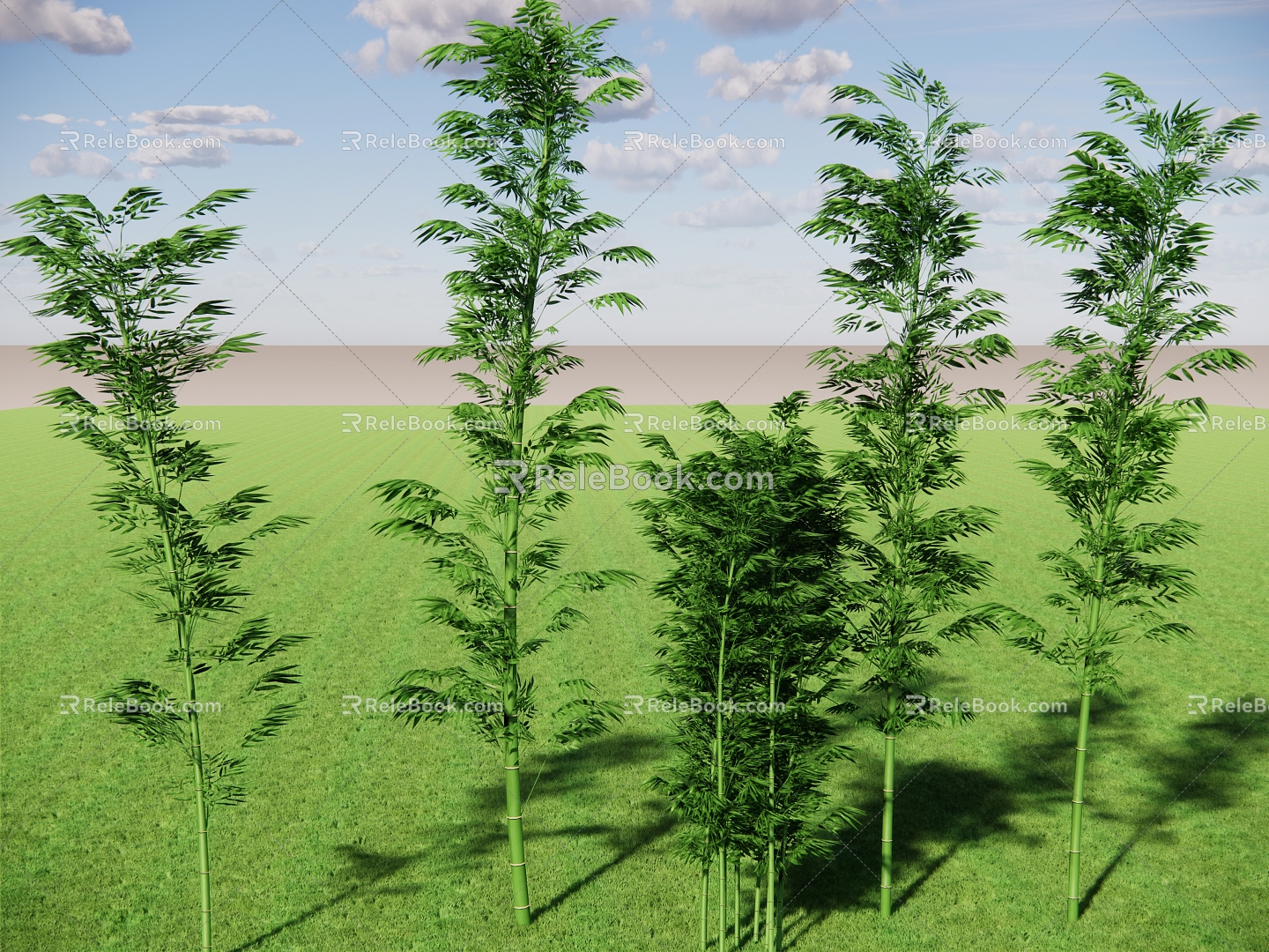 Bamboo Vegetation Bamboo Fence Lush Bamboo Forest Hedgerow Bamboo Cluster Landscape Bamboo Bamboo 3d model