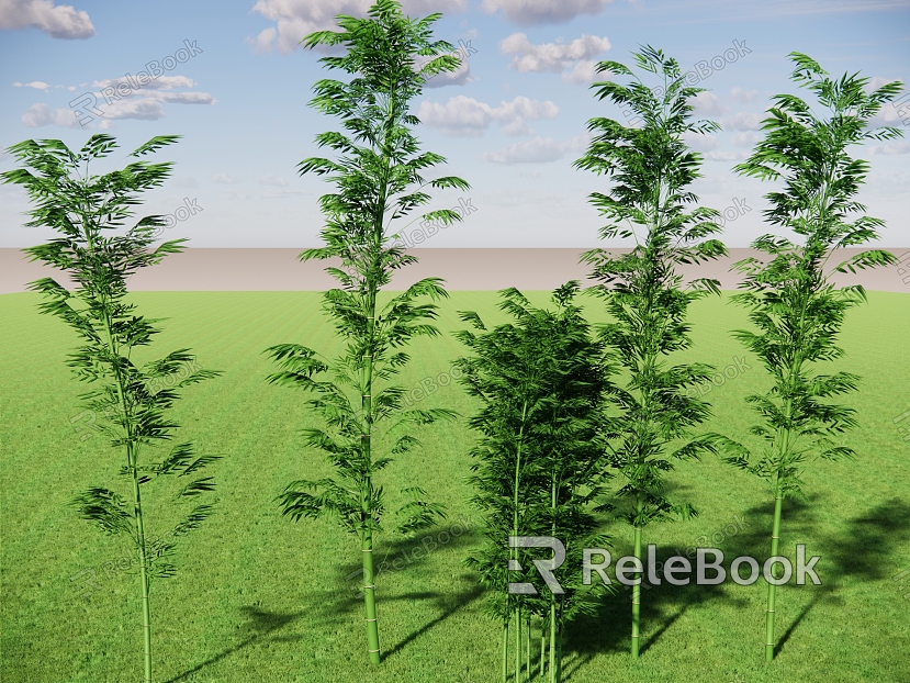 Bamboo Vegetation Bamboo Fence Lush Bamboo Forest Hedgerow Bamboo Cluster Landscape Bamboo Bamboo model