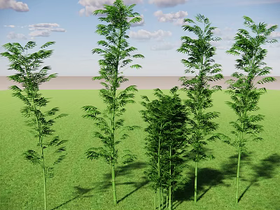 Bamboo Vegetation Bamboo Fence Lush Bamboo Forest Hedgerow Bamboo Cluster Landscape Bamboo 3d model