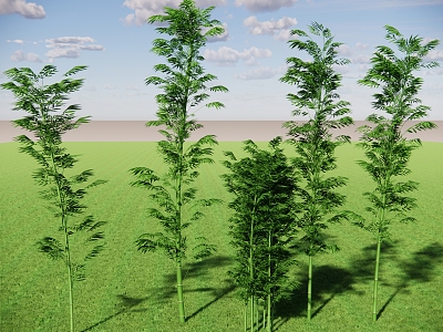 Bamboo Vegetation Bamboo Fence Lush Bamboo Forest Hedgerow Bamboo Cluster Landscape Bamboo 3d model