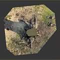 Tree Stump With Exposed Roots And Grassy Surroundings With Scattered Stones
