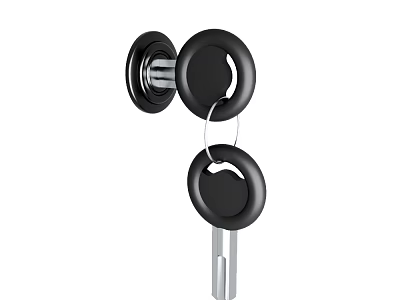 Black Door Lock With Key Inserted And Shiny Metal Components 3d model