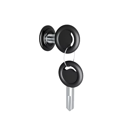 Black Door Lock With Key Inserted And Shiny Metal Components 3d model