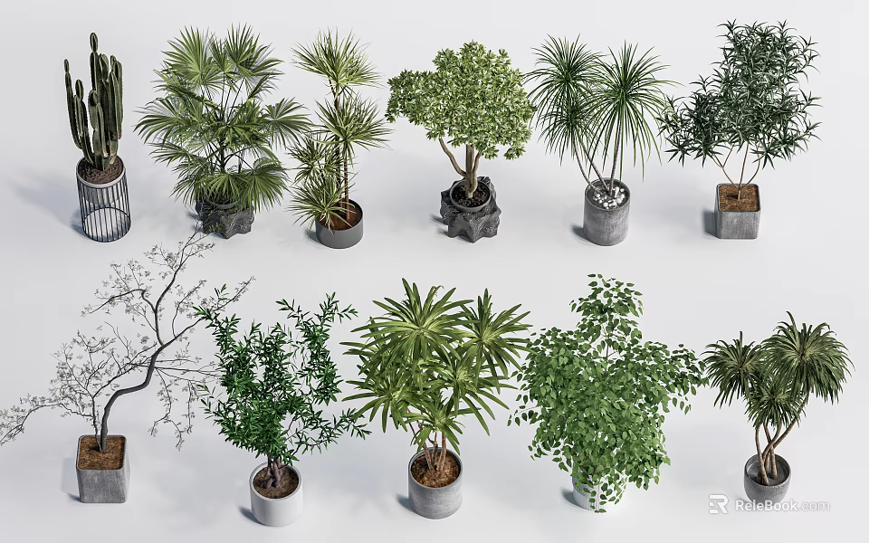 Assorted Bonsai Trees And Potted Green Plants In Modern Planters For Interior Decor 3d model