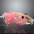 Cute Pink Beige Creature Character With Large Ears Big Eyes And White Teeth Plush Design