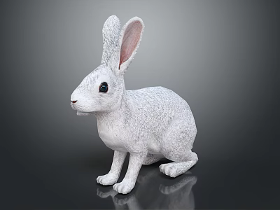 White Rabbit with Long Ears Sitting Posture Smooth Fur on Dark Background 3d model