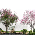 Beautiful Plant Combination With Pink Flowering Trees Stones And Green Shrubs