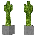 Two Green Cactus Potted Plants In Gray Square Decorative Pots