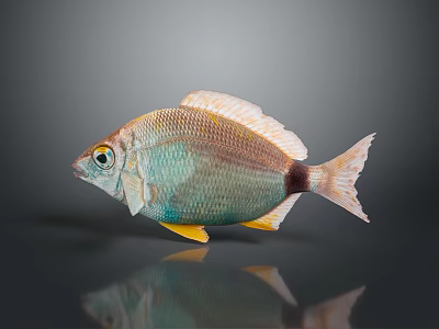 Vibrant Colored Fish With Greenish Blue Body Yellow Fins Black Spot Against Dark Background Reflection 3d model