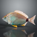 Vibrant Colored Fish With Greenish Blue Body Yellow Fins Black Spot Against Dark Background Reflection