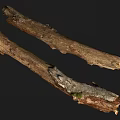 Natural Wooden Logs With Stone Like Bark Texture And Rough Surface Design 3d model