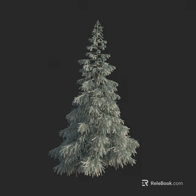 Tall Evergreen Arbor With Lush Foliage Vertical Growth Against Dark Background 3d model 