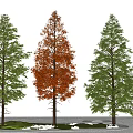 Three Trees with Red Center Foliage and Green Side Leaves Against Blue Sky