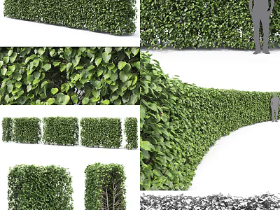 Different Shaped Shrubs for Garden Landscaping and Hedge Design Projects 3d model
