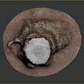 Natural Wooden Stone Tree Stump Decorative Ornament With Textured Surface And Round Base