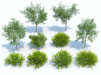 Green Shrubs and Trees with Diverse Shapes for Landscaping Projects 3d model