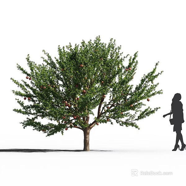 Lush Fruit Bearing Arbor With Green Foliage And Figure Silhouette Nearby 3d model 