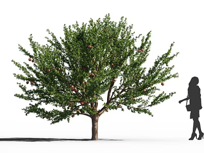 Lush Fruit Bearing Arbor With Green Foliage And Figure Silhouette Nearby 3d model