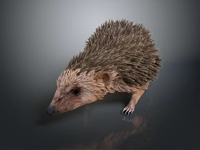 Spiny Reptile With Brown Spikes And Small Eyes On Gray Background 3d model