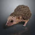 Spiny Reptile With Brown Spikes And Small Eyes On Gray Background