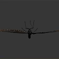 Black Butterfly With White Spotted Wings And Red Accents Against Dark Background With Reflective Surface